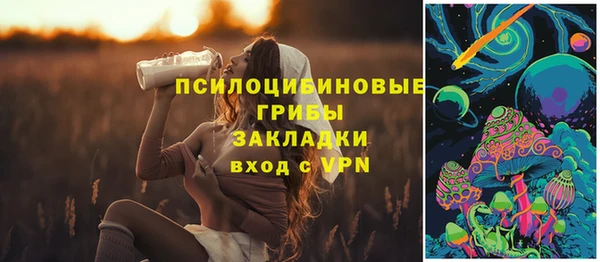 а пвп мука Краснослободск