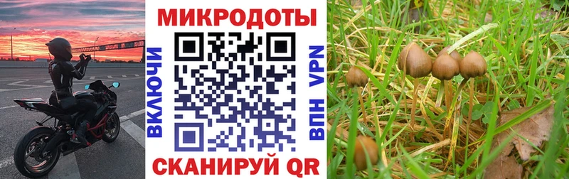 Купить  Павлово  Галлюциногенные грибы Magic Shrooms 